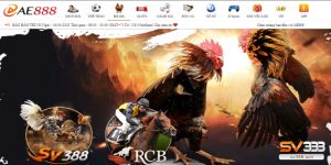 ae888 da ga 1 6