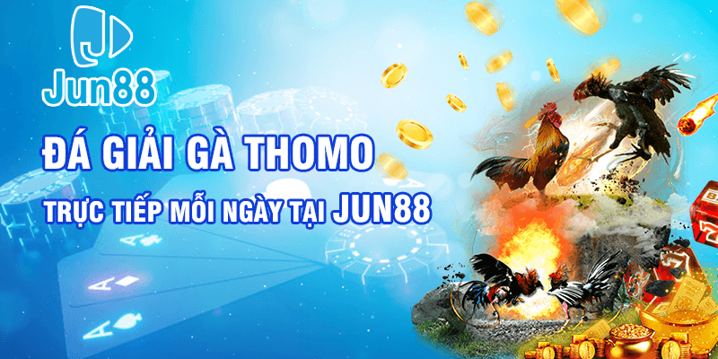 Bật Mí Bí Quyết Chơi Đá Gà 88JUN Trực Tuyến Luôn Thắng 3 Hướng dẫn tham gia đá gà tại Jun88