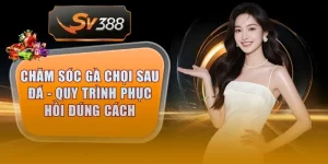 cham soc ga choi sau da thumb 6