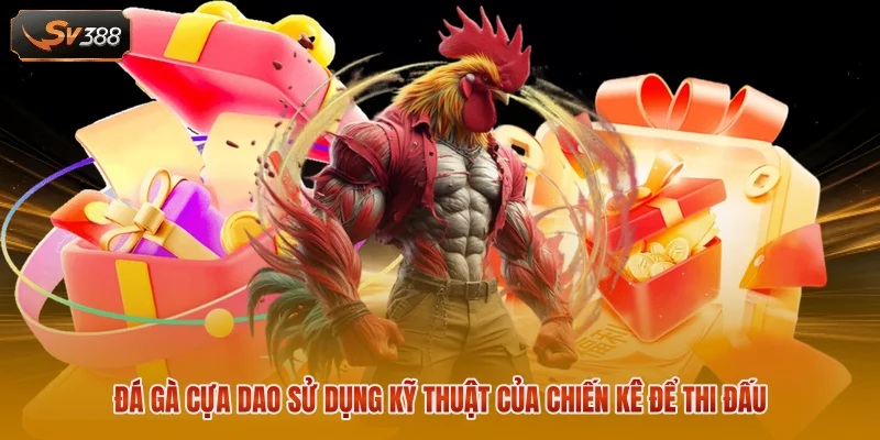 Đá Gà SV388 - Theo Dõi 100+ Trận Đấu Trực Tiếp Mỗi Ngày 3 Đá gà cựa dao sử dụng kỹ thuật của chiến kê để thi đấu