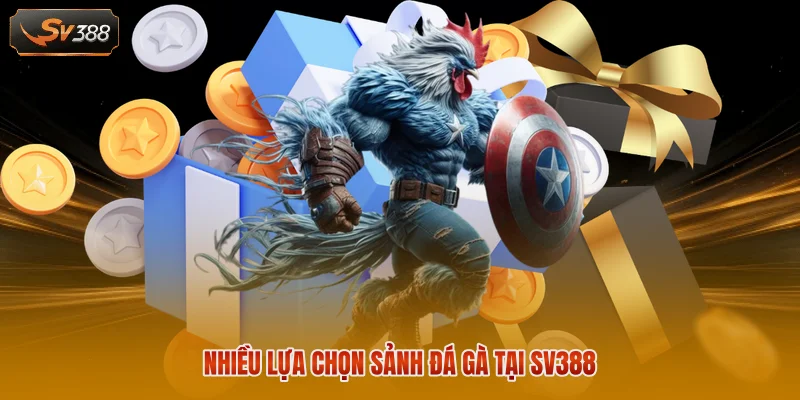 Đá Gà SV388 - Theo Dõi 100+ Trận Đấu Trực Tiếp Mỗi Ngày 2 Nhiều lựa chọn sảnh đá gà tại SV388