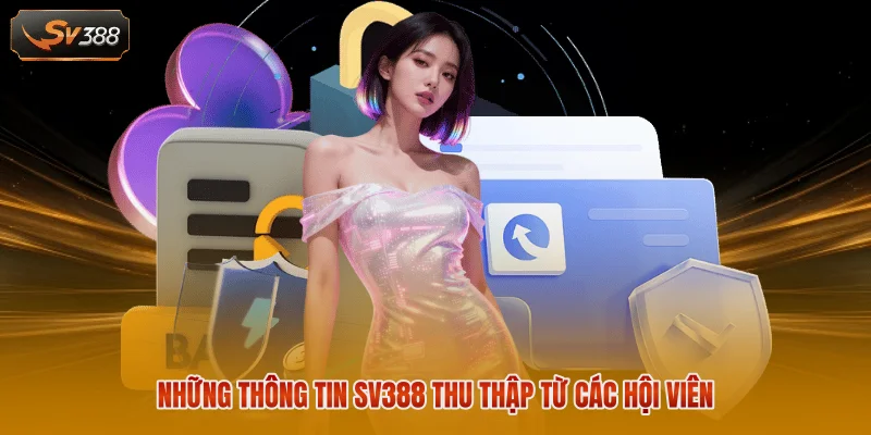 Chính Sách Bảo Mật SV388 - Cam Kết Giữ Kín Mọi Thông Tin 2 Những thông tin SV388 thu thập từ các hội viên