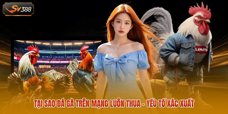 Tại Sao Đá Gà Trên Mạng Luôn Thua? Nguyên Nhân Thực Tế 1 Tại sao đá gà trên mạng luôn thua - yếu tố xác xuất