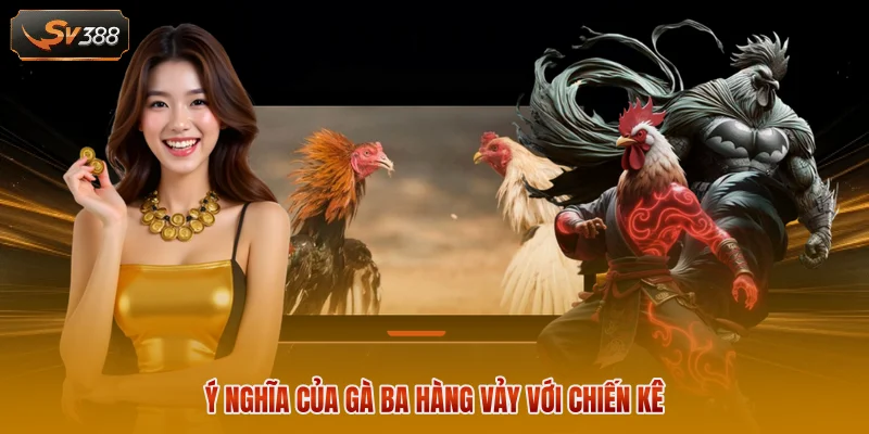 Ý nghĩa của gà ba hàng vảy với chiến kê